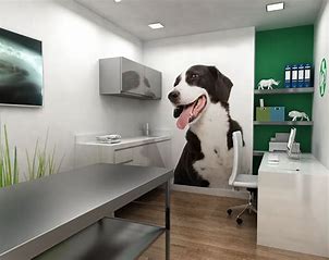 Foto Consultoria Veterinaria
